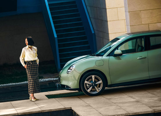 Long Driving Range Gwm ORA Good Cat 401-501KM Fast Charging
