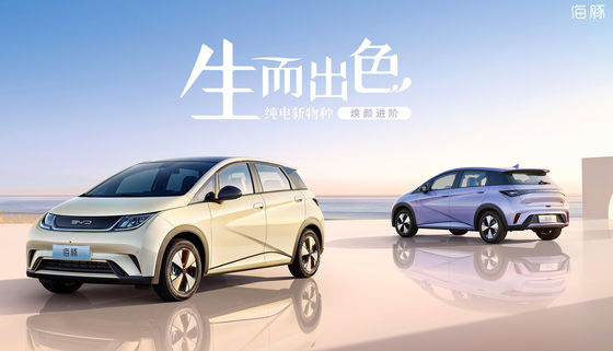 Pure Electric Mini Byd Dolphin Ev 301-405KM 5 Doors 5 Seats